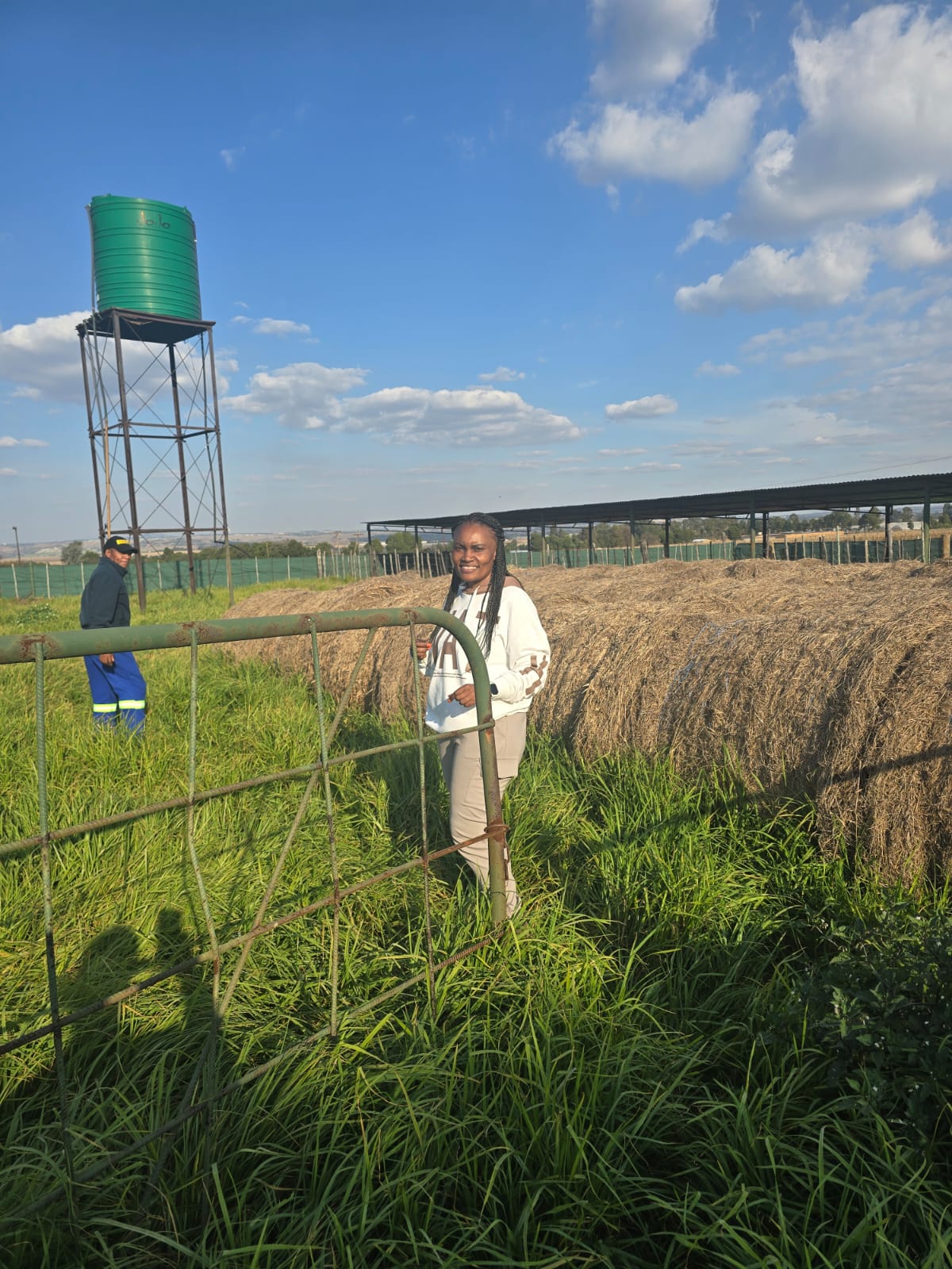 Mount of Hope tractor working among vegetable rows